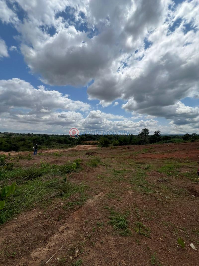 Land For Sale Elim Estate Ibagwa Nike Enugu Area  - 0