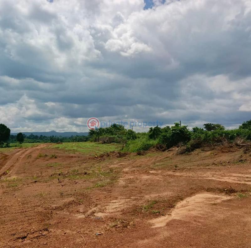 Residential Land For Sale Elim Estate Ibagwa Nike Enugu Area  - 1
