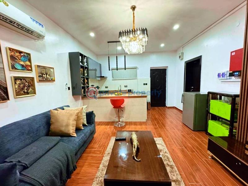 1 bedroom Flat & Apartment Short let Ikate Elegushi Lekki Lagos - 0