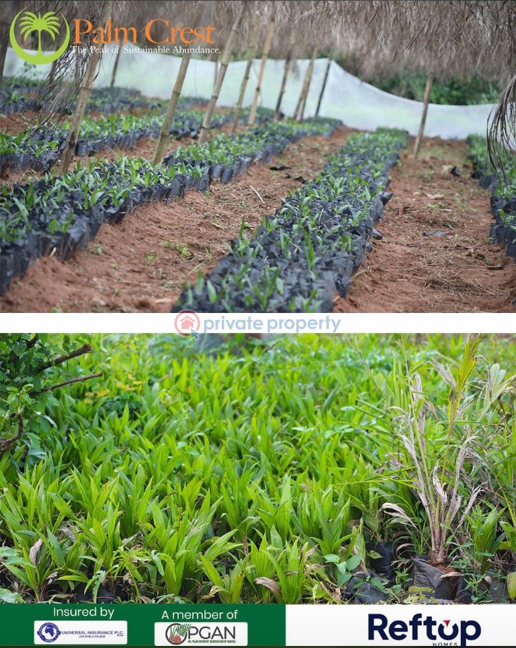 Commercial Land For Sale Imeko Afon Lga, Owode Afon, Alamala Military Barrack,, Crescent University, Abeokuta Abeokuta Ogun - 1