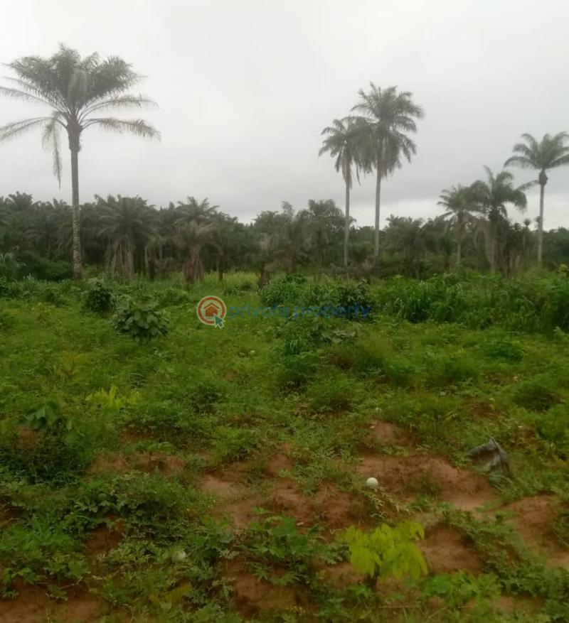 Mixed use Land For Sale Haven Brooks Classic Estate Jikwoyi Abuja Phase 4  - 8