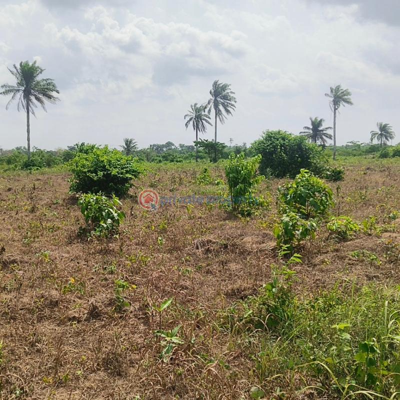 Mixed use Land For Sale Haven Brooks Classic Estate Jikwoyi Abuja Phase 4  - 7