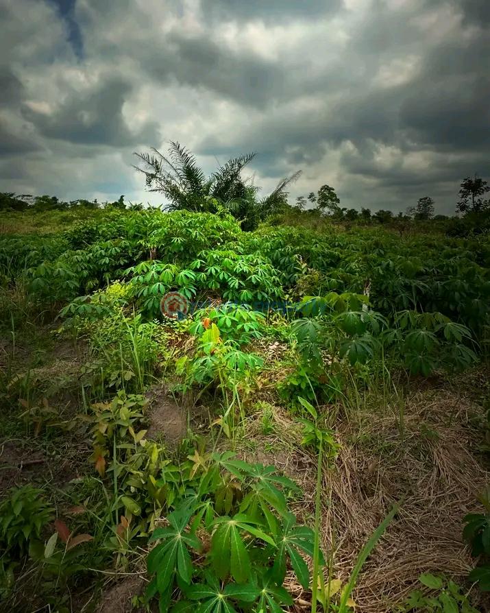 Residential Land For Sale Esan West Edo - 6