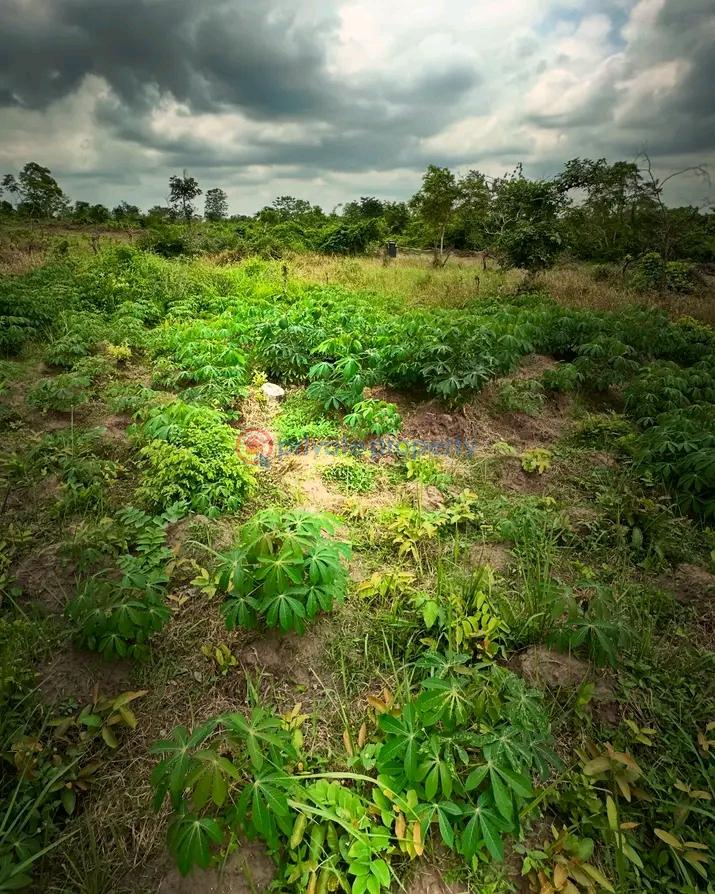 Residential Land For Sale Esan West Edo - 1