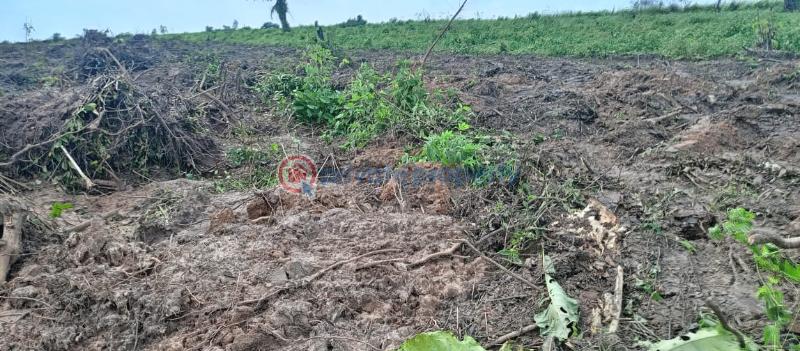 Secured and verified estate land - 1 Mixed use Land For Sale Greenleaf Estate Along Igbodu Road Isiwo Epe Ijebu Ode Ogun - 1