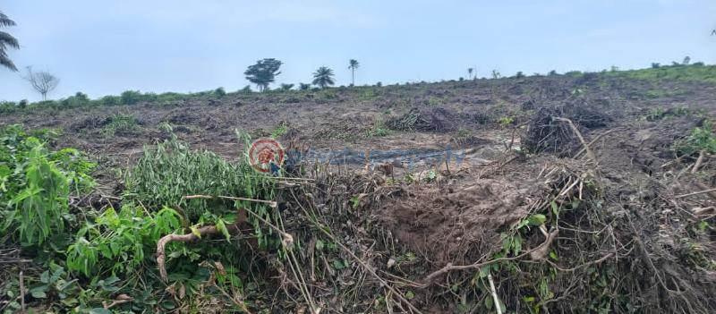Secured and verified estate land - 2 Mixed use Land For Sale Greenleaf Estate Along Igbodu Road Isiwo Epe Ijebu Ode Ogun - 2