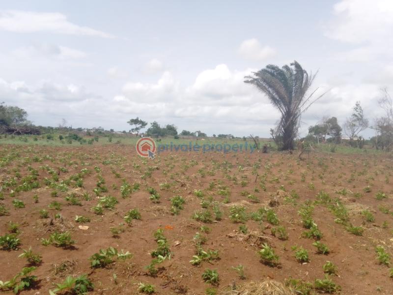 Residential Land For Sale Haven's Gate Estate Agbowa Close To Laspotech & Caleb University Ikorodu Lagos - 8