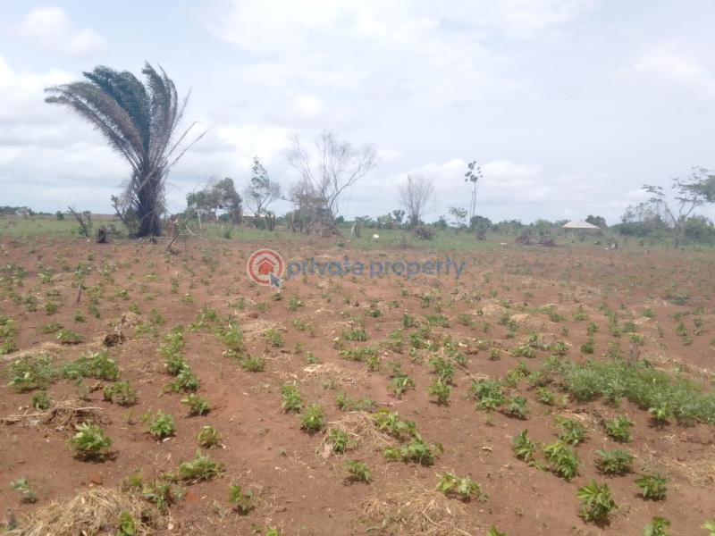 Residential Land For Sale Haven's Gate Estate Agbowa Close To Laspotech & Caleb University Ikorodu Lagos - 5