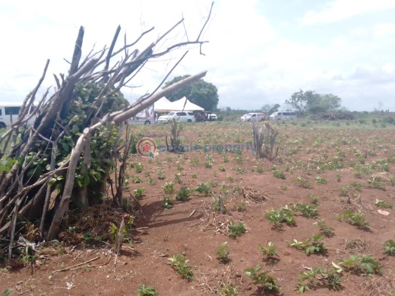 Residential Land For Sale Haven's Gate Estate Agbowa Close To Laspotech & Caleb University Ikorodu Lagos - 6