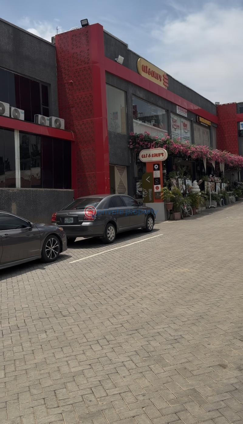 Mall/Complex/Plaza For Rent Wuse II Abuja Phase 1  - 0