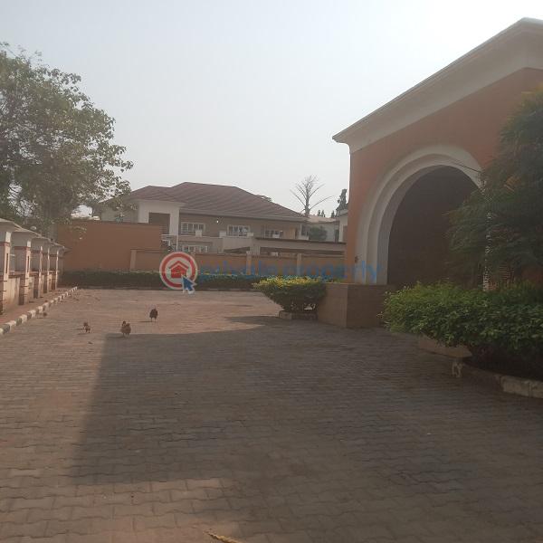 9 bedroom House For Rent Asokoro District Asokoro Abuja Phase 1  - 4