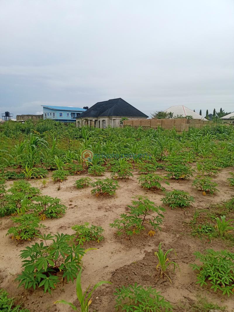 Land For Sale Very Close To Uniuyo Perm Site Uyo Akwa Ibom