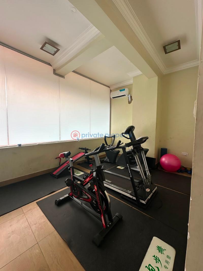 3 bedroom Shared Apartment For Rent Ikoyi Lagos - 25