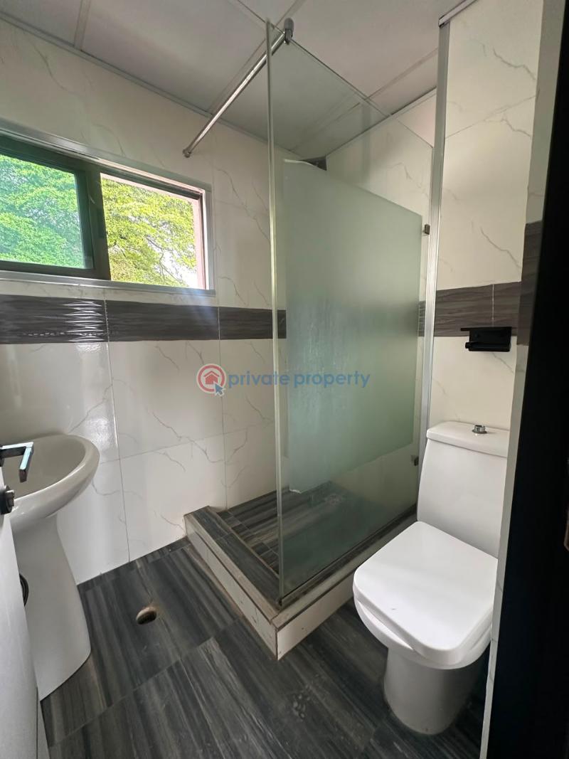 3 bedroom Shared Apartment For Rent Ikoyi Lagos - 19