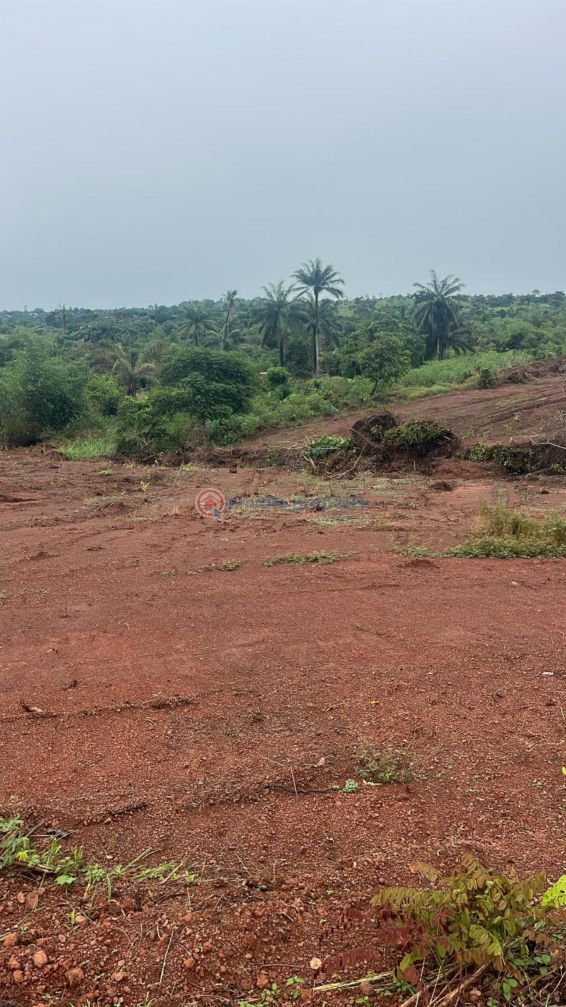Residential Land For Sale Centenary City Enugu Area  - 0