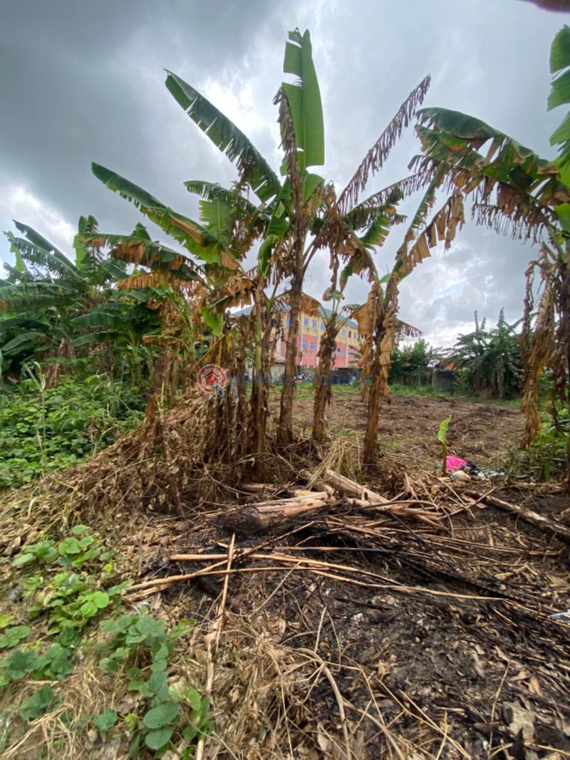 Mixed use Land For Sale Off Rumuosi Flyover, Rumuekini Port Harcourt East West Road Port Harcourt Rivers - 7