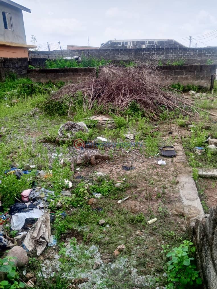 Mixed use Land For Sale Akowojo Akowonjo Alimosho Lagos - 1
