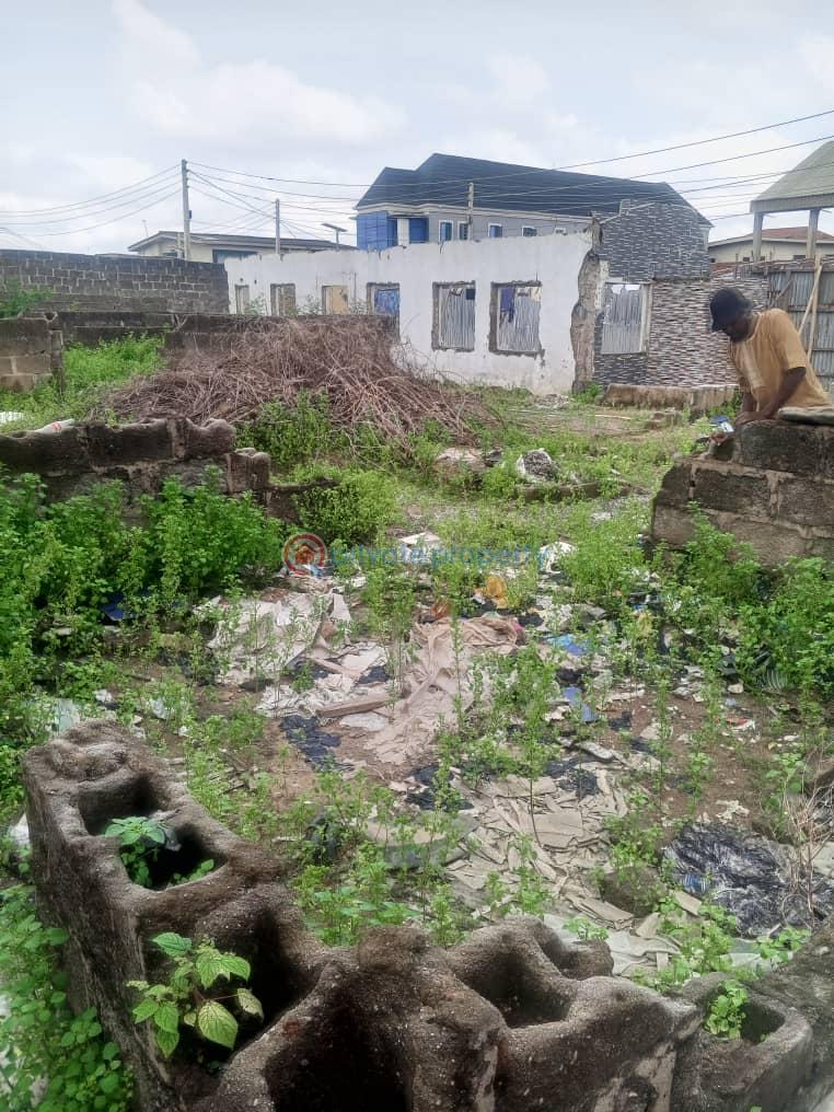 Mixed use Land For Sale Akowojo Akowonjo Alimosho Lagos - 11