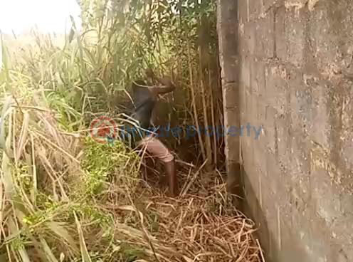 Residential Land For Sale Iju-obawole Ifako-Ijaiye Lagos - 0