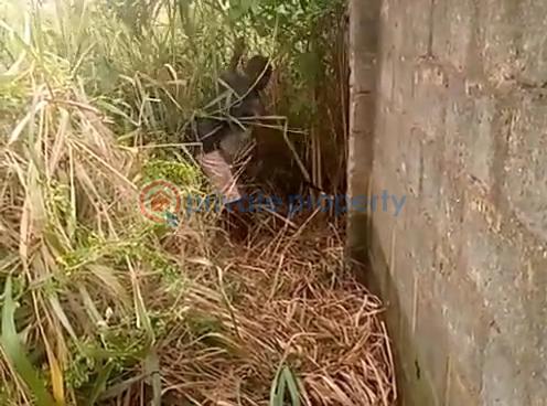 Residential Land For Sale Iju-obawole Ifako-Ijaiye Lagos - 9