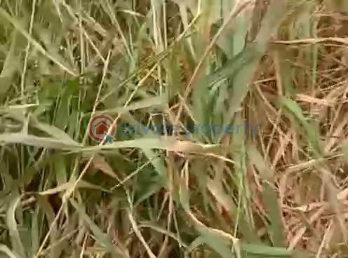 Residential Land For Sale Iju-obawole Ifako-Ijaiye Lagos - 1