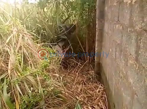 Residential Land For Sale Iju-obawole Ifako-Ijaiye Lagos - 8