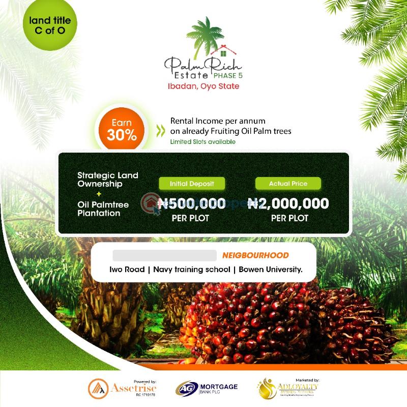 Strategic land investment through palm tree plantation and palm oil processing in stratehic locations in epe lagos, owode ado odo ogun state, iwo road ibadan. - 5 Mixed use Land For Sale Owode Ado Odo Ota. Ewekoro Ogun - 5