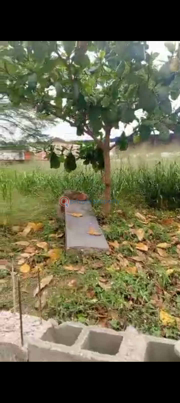 Land For Sale Opposite Cadbury, Beside Mobil Filling Station Agidingbi Ikeja Lagos - 5