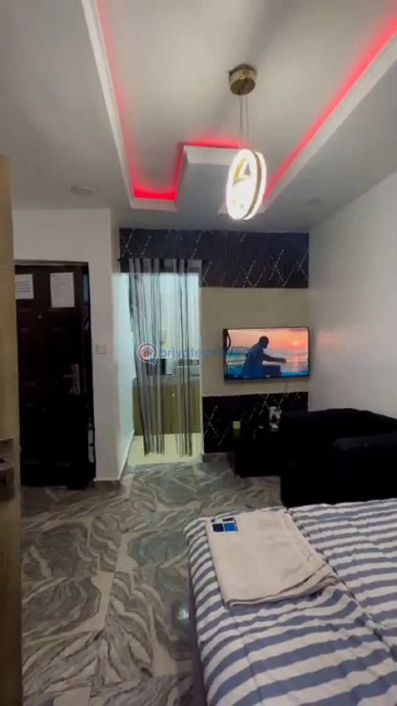 1 bedroom Studio Apartment Short let Surulere Lagos - 3