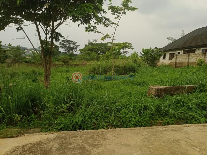 Residential Land For Sale Irenuma Avenue, Inside Adp Estate, Opp Irhirhi Road, Airport Road Benin Oredo  - 4