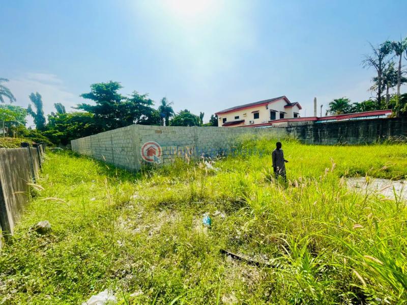 Residential Land For Sale Monastery Road Sangotedo Lagos - 3