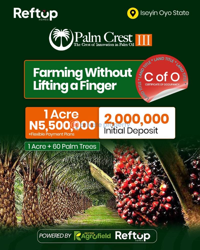 Land For Sale Olugbade Village,along Iseyin Okeho Road, Iseyin Oyo State Iseyin Ibadan Oyo - 3