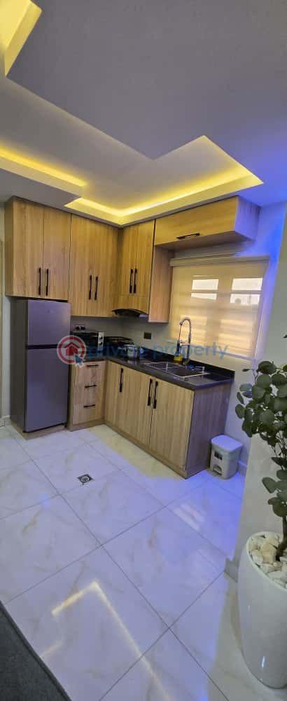 1 bedroom Mini Flat Short let Ikeja  Lagos - 4