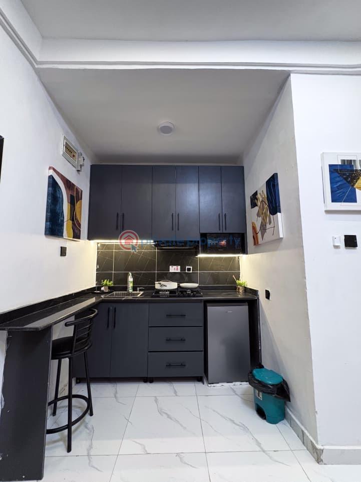 1 bedroom Mini Flat Short let Surulere Lagos - 2