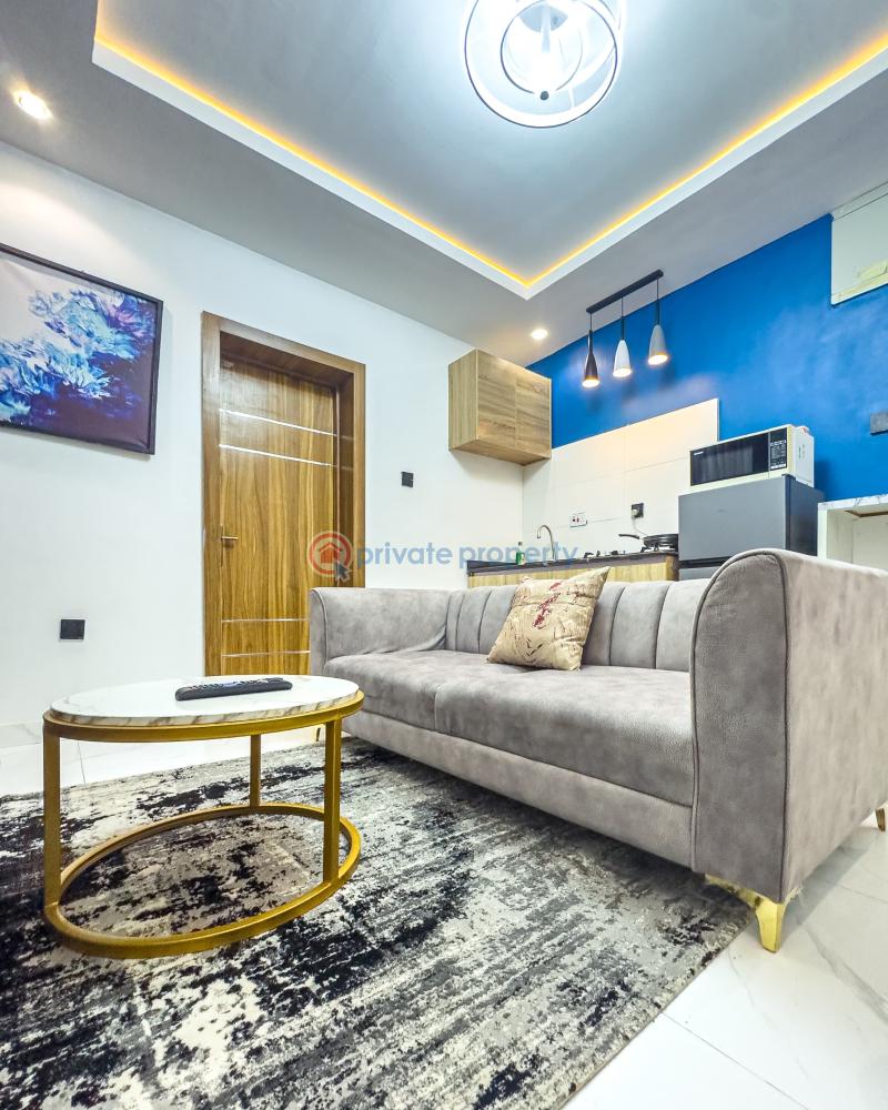 1 bedroom Mini Flat Short let Surulere Lagos - 2