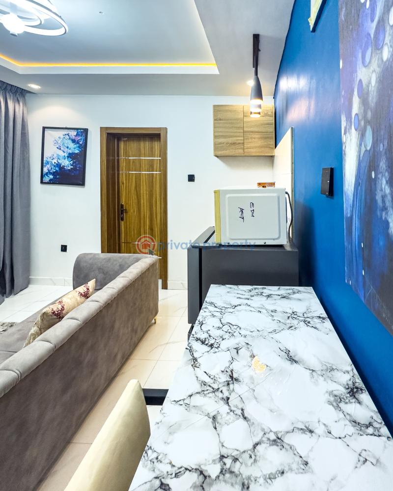 1 bedroom Mini Flat Short let Surulere Lagos - 4