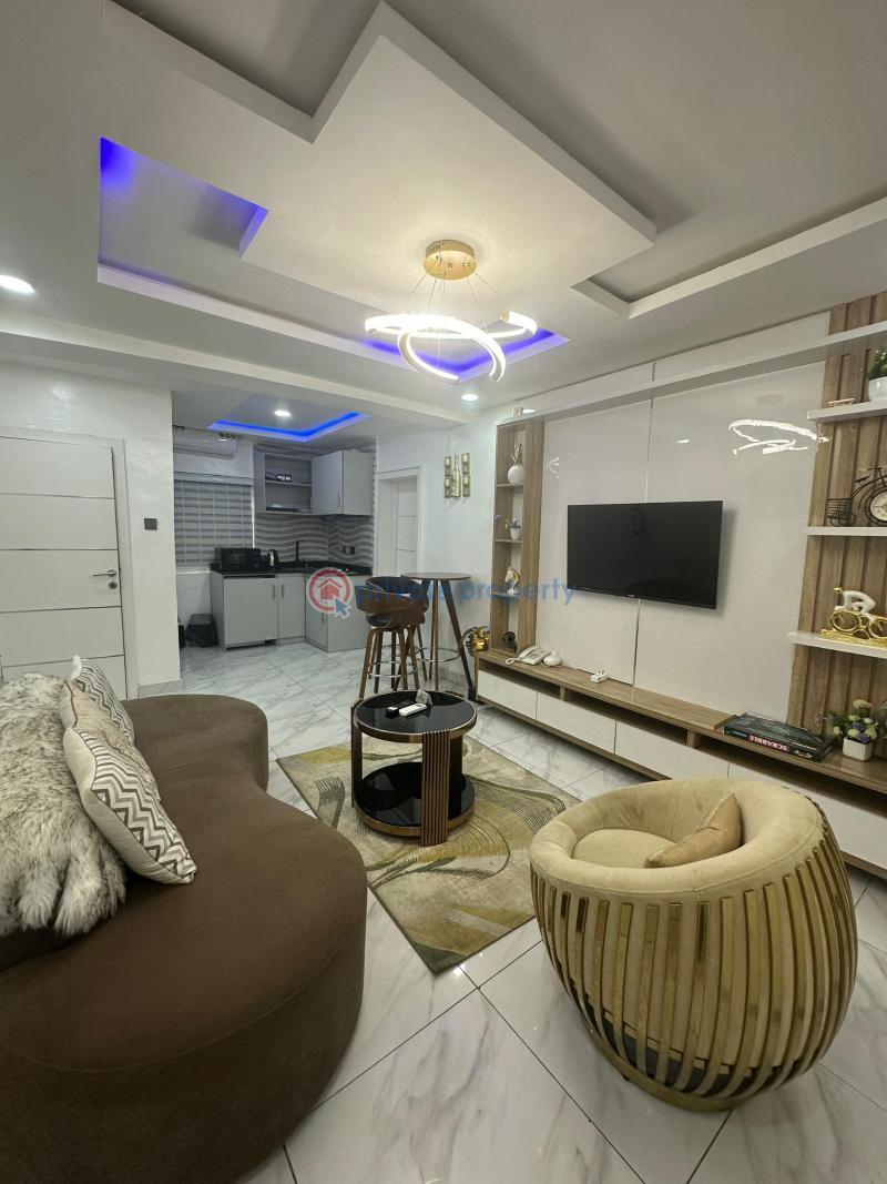 1 bedroom Mini Flat Short let Ikeja GRA Lagos - 9