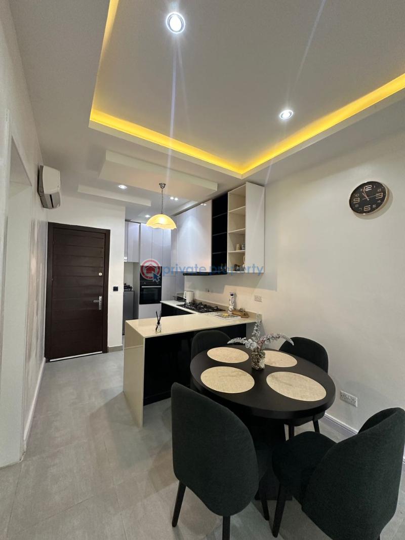 2 bedroom Shared Apartment For Rent Oniru Victoria Island Lagos - 11