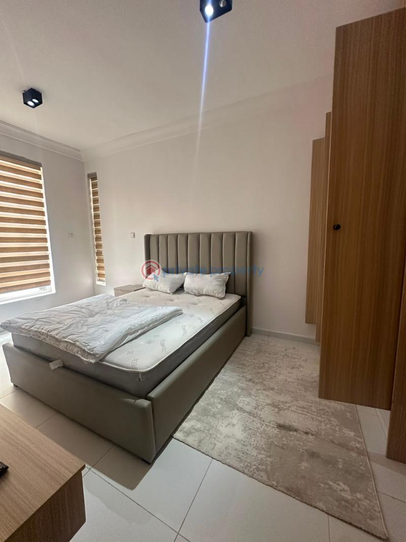2 bedroom Shared Apartment For Rent Ikoyi Lagos - 15