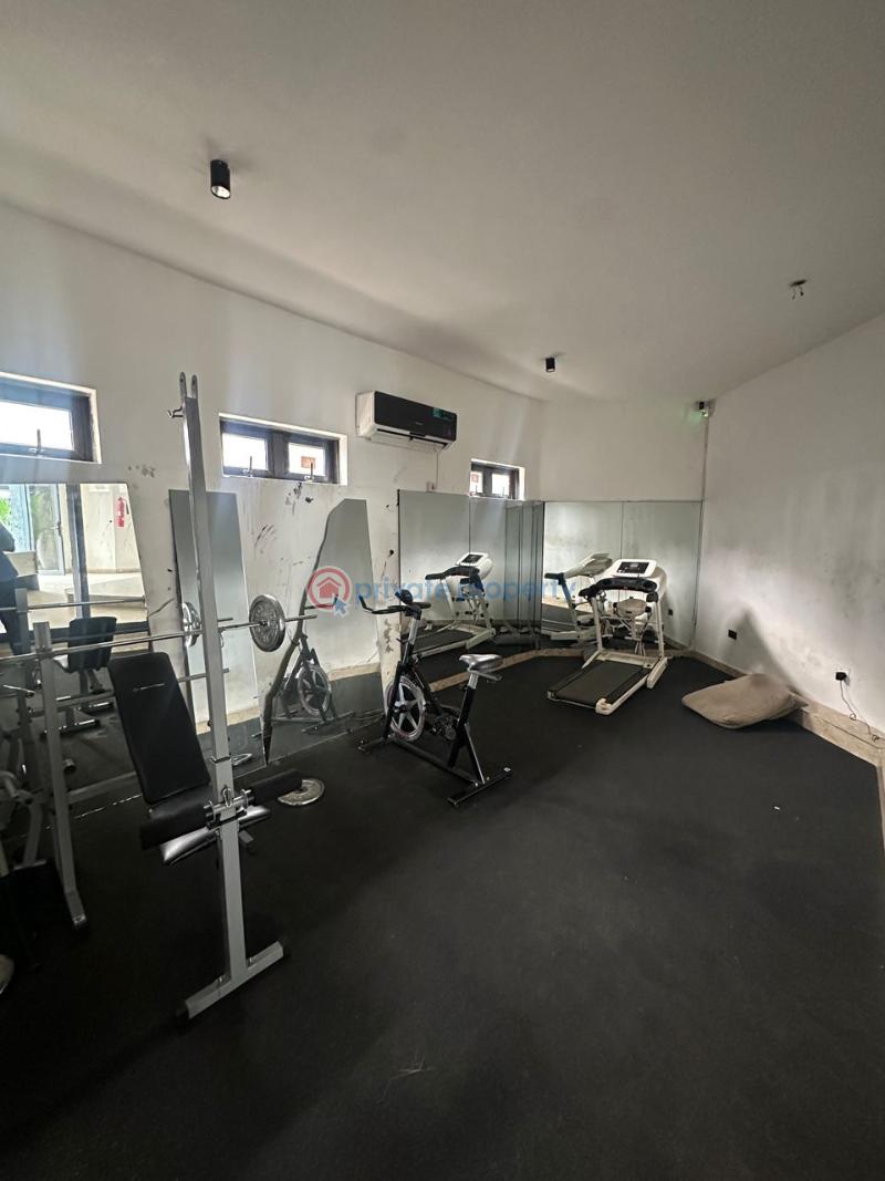 Tastefully furnished 3 bedroom penthouse with swimming pool - 1 3 bedroom Block Of Flats For Rent Lekki Lagos - 1