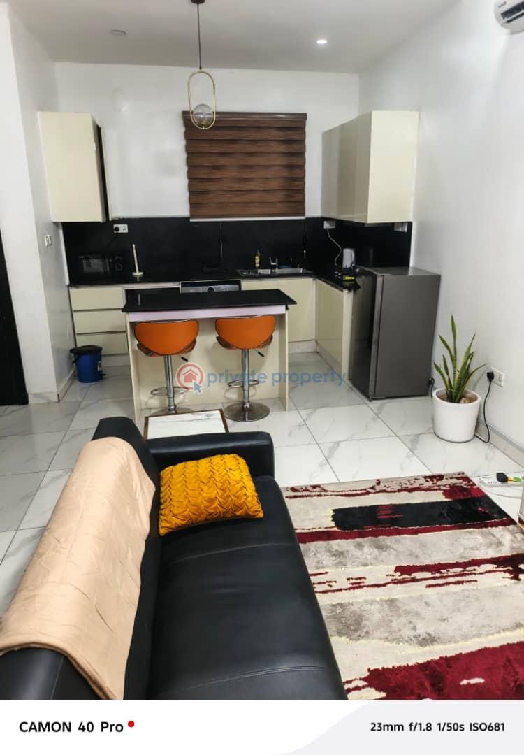 1 bedroom Flat & Apartment For Rent Freedom Way Lekki Phase 1 Lekki Phase 1 Lagos - 4