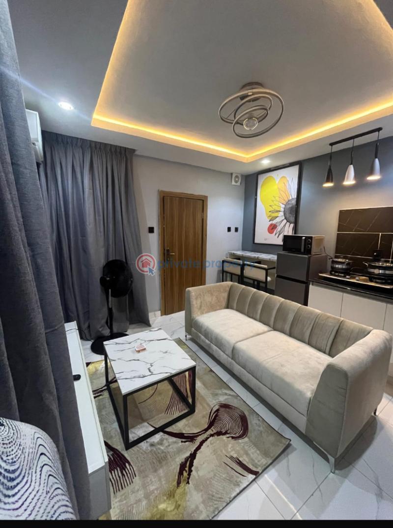 1 bedroom Mini Flat Short let Surulere Lagos - 0