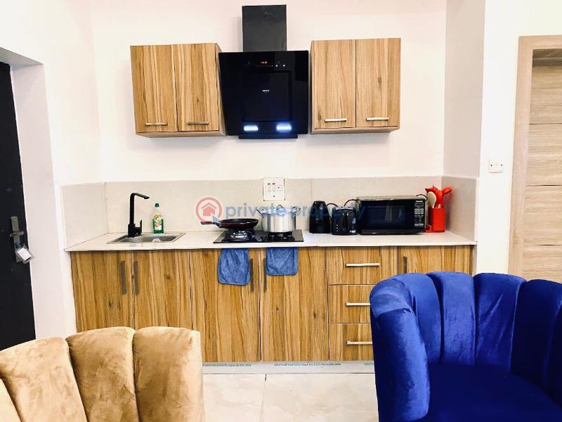 1 bedroom Flat & Apartment Short let Freedom Way Lekki Phase 1 Lagos - 1