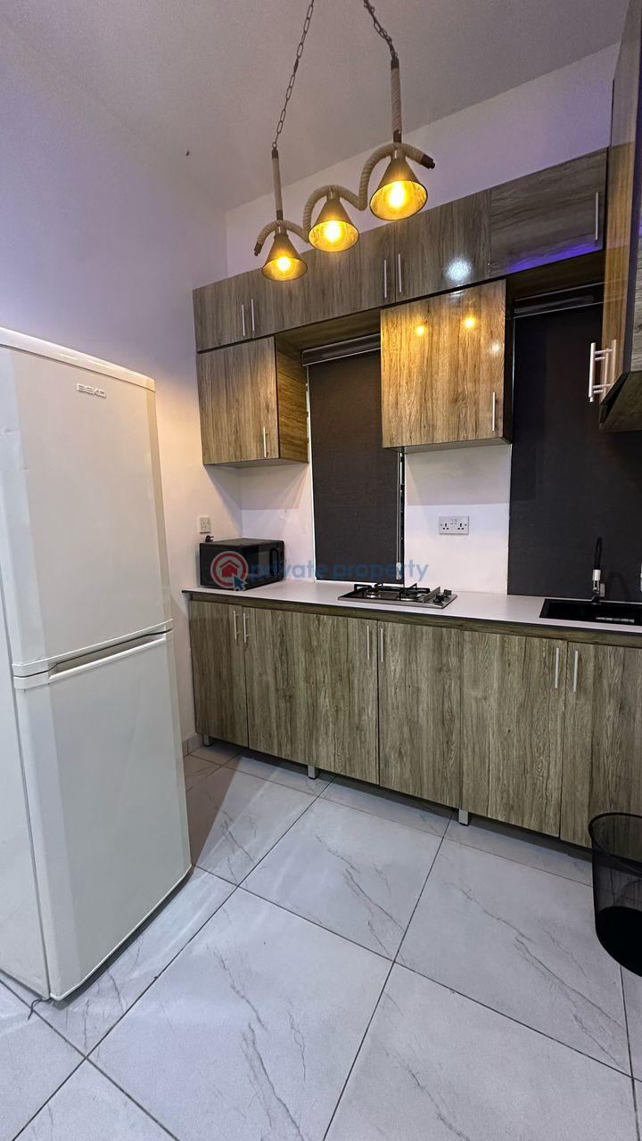 1 bedroom Studio Apartment For Rent Yemi Adetayo Ilasan Lekki Lagos - 2