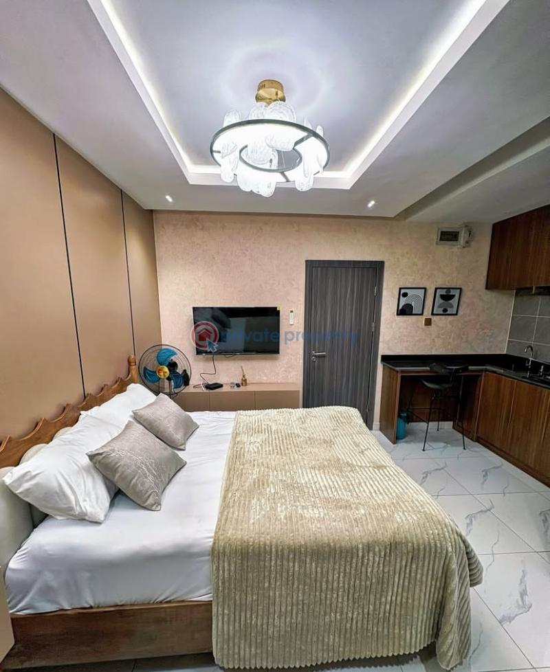 1 bedroom Studio Apartment Short let Itire-Ikate Surulere Lagos - 0