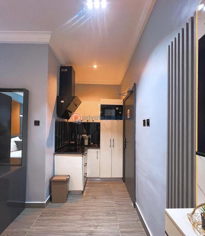 1 bedroom Studio Apartment Short let Opebi Ikeja Lagos - 7