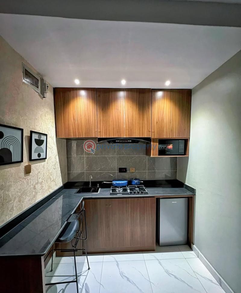 1 bedroom Studio Apartment Short let Itire-Ikate Surulere Lagos - 3