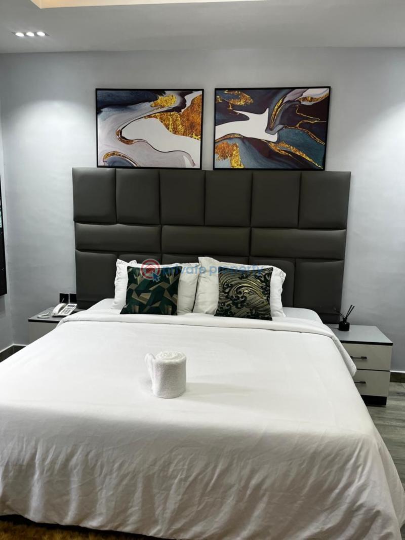 1 bedroom Studio Apartment Short let Opebi Ikeja Lagos - 1