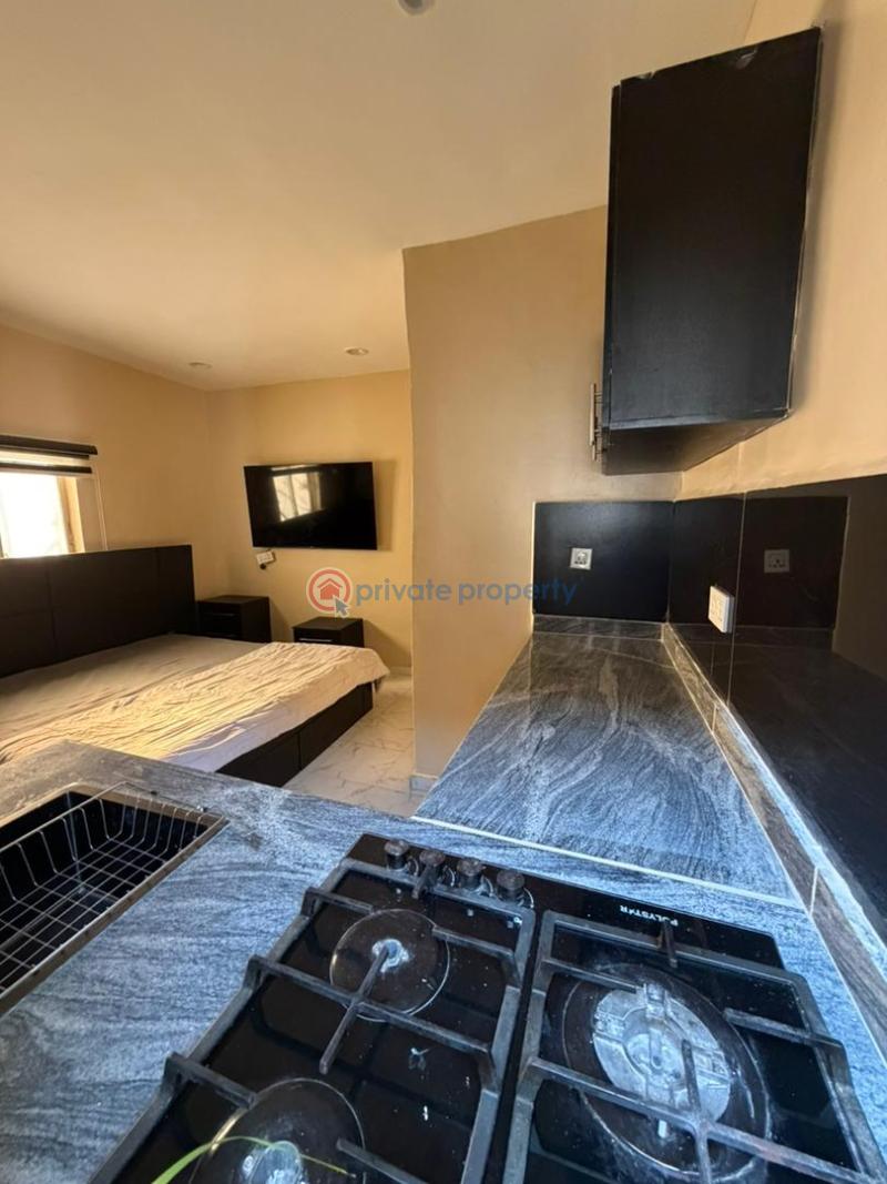 1 bedroom Studio Apartment For Rent Oniru Victoria Island Lagos - 0