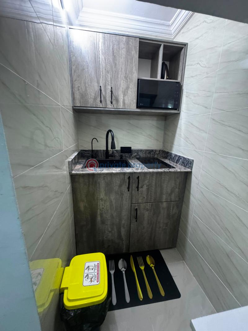 1 bedroom Studio Apartment Short let Opebi Ikeja Lagos - 3